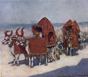 Algunos vehículos nativos